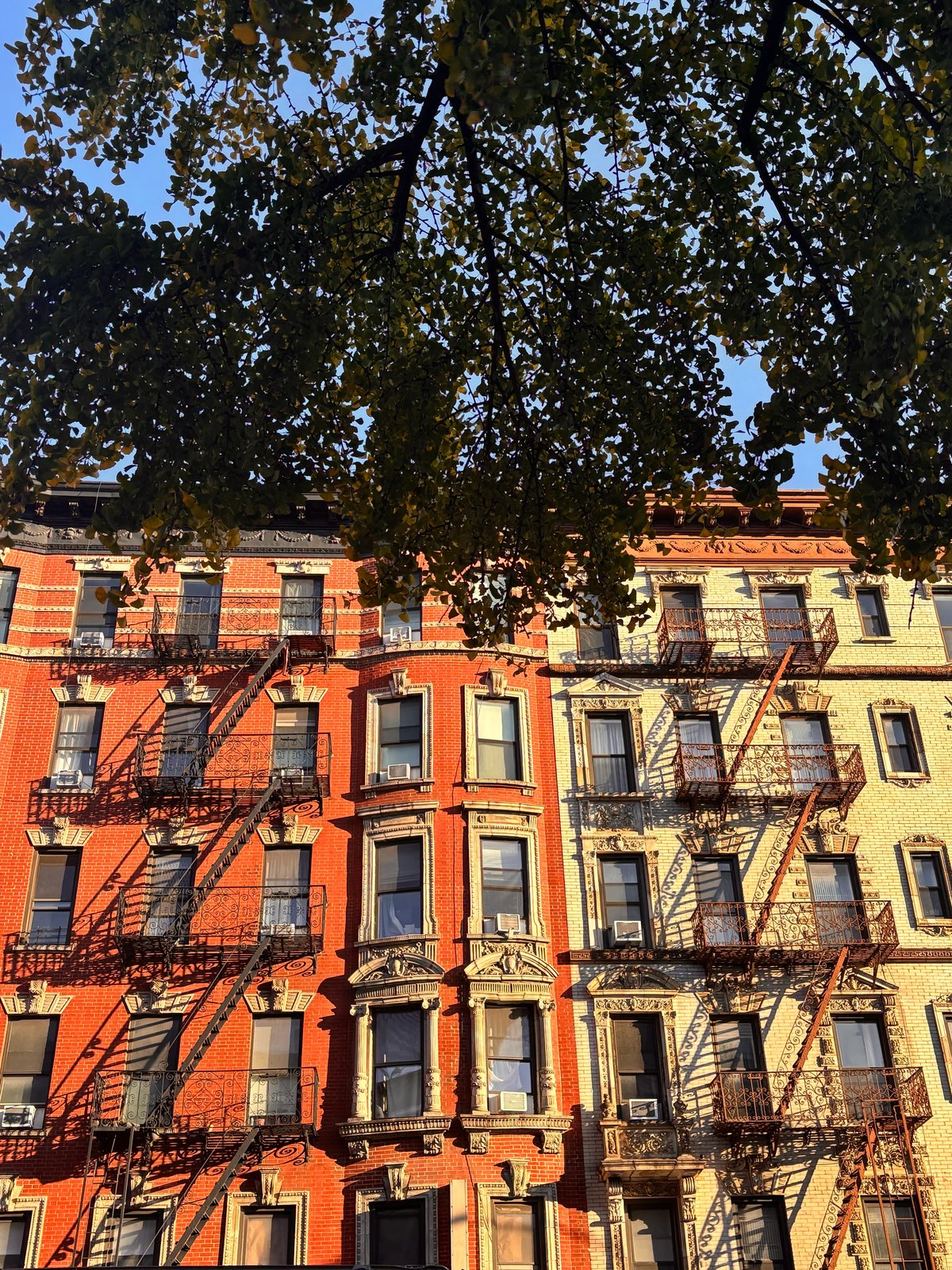 New York City residential buildings